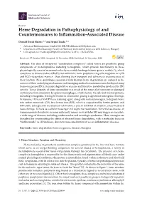 Heme Degradation in Pathophysiology of and Countermeasures to Inﬂammation-Associated Disease