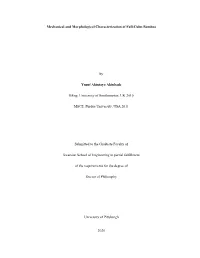 Mechanical and Morphological Characterization of Full-Culm Bamboo