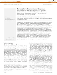 Transcription of Densovirus Endogenous Sequences in The