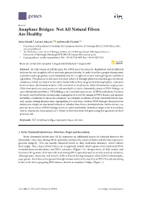Anaphase Bridges: Not All Natural Fibers Are Healthy