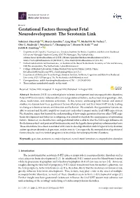 Gestational Factors Throughout Fetal Neurodevelopment: the Serotonin Link