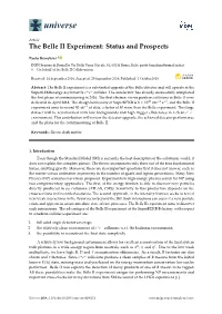 The Belle II Experiment: Status and Prospects