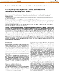 Cell-Type-Specific Cytokinin Distribution Within The