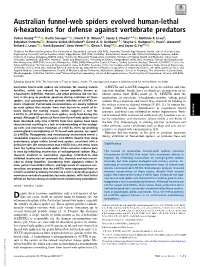 Australian Funnel-Web Spiders Evolved Human-Lethal Δ-Hexatoxins for Defense Against Vertebrate Predators