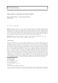 Class Prefixes As Specifiers in Southern Bantu