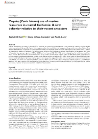 Coyote (Canis Latrans) Use of Marine Resources in Coastal California: a New Behavior Relative to Their Recent Ancestors