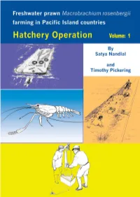 Freshwater Prawn &lt;I&gt;Macrobrachium Rosenbergii&lt;/I&gt;