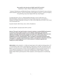 New Model IQGAP1.Pdf