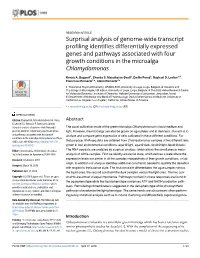 Surprisal Analysis of Genome-Wide Transcript Profiling Identifies