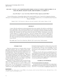 Bpuami: a Novel Saci Neoschizomer from Bacillus Pumilus Discovered in an Isolate from Amazon Basin, Recognizing 5'-Gag↓Ctc-3'