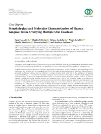 Case Report Morphological and Molecular Characterization of Human Gingival Tissue Overlying Multiple Oral Exostoses