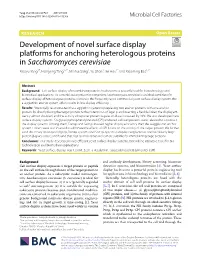 Development of Novel Surface Display Platforms for Anchoring