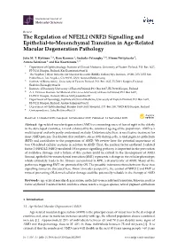 The Regulation of NFE2L2 (NRF2) Signalling and Epithelial-To-Mesenchymal Transition in Age-Related Macular Degeneration Pathology