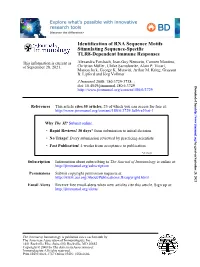 TLR8-Dependent Immune Responses Stimulating Sequence-Specific
