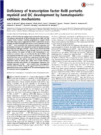 Deficiency of Transcription Factor Relb Perturbs Myeloid and DC Development by Hematopoietic- Extrinsic Mechanisms