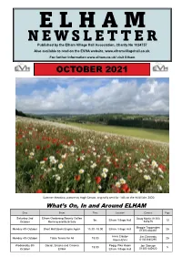 Newsletter.Pdf