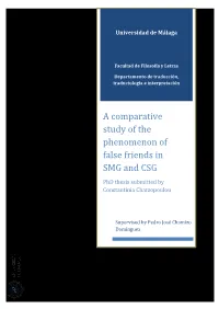 A Comparative Study of the Phenomenon of False Friends in SMG and CSG