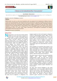 A Review on the Pashanbheda Plant “Aerva Javanica”