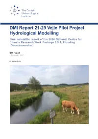 DMI Report 21-29 Vejle Pilot Project Hydrological Modelling
