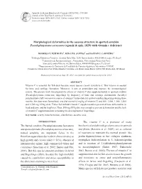 Morphological Deformities in the Osseous Structure in Spotted Sorubim Pseudoplatystoma Coruscans (Agassiz & Spix, 1829) with Vitamin C Deficiency