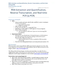 RNA Extraction and Quantification, Reverse Transcription, and Real