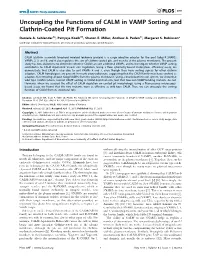 Uncoupling the Functions of CALM in VAMP Sorting and Clathrin-Coated Pit Formation