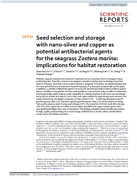 Seed Selection and Storage with Nano-Silver and Copper As