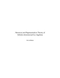 Structure and Representation Theory of Infinite-Dimensional Lie Algebras