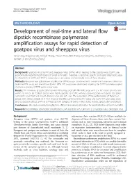 Development of Real-Time and Lateral Flow Dipstick Recombinase Polymerase Amplification Assays for Rapid Detection of Goatpox Vi