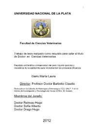 Documento Completo