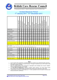 Incident Report for 2011