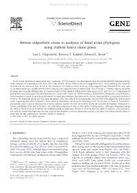 Introns Outperform Exons in Analyses of Basal Avian Phylogeny Using Clathrin Heavy Chain Genes ⁎ Jena L
