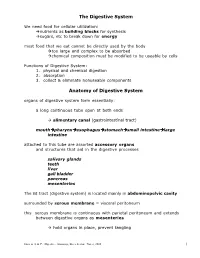 The Digestive System