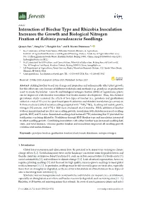 Interaction of Biochar Type and Rhizobia Inoculation Increases the Growth and Biological Nitrogen Fixation of Robinia Pseudoacacia Seedlings