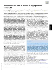 Mechanism and Site of Action of Big Dynorphin on Asic1a