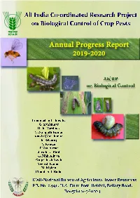 Report 2019-2020