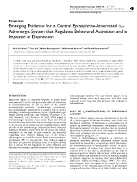 Emerging Evidence for a Central Epinephrine-Innervated A1- Adrenergic System That Regulates Behavioral Activation and Is Impaired in Depression