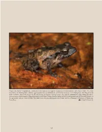 Frogs in the Family Craugastoridae Exhibit Direct Development and Eggs Are Deposited in Moist Locations, Rather Than in Water