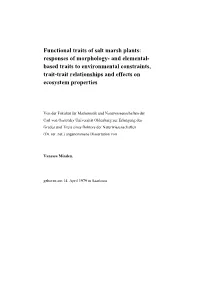 Functional Traits of Salt Marsh Plants: Responses of Morphology- And