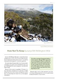 How Not to Keep Kunanyi/Mt Wellington Wild