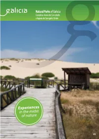 Experiences in the Midst of Nature