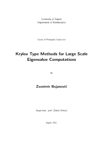 Krylov Type Methods for Large Scale Eigenvalue Computations
