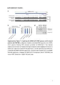 Capturing the SARS-Cov-2 RNA Genome and Its Bound Proteins with RAP-MS