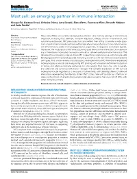 Mast Cell: an Emerging Partner in Immune Interaction