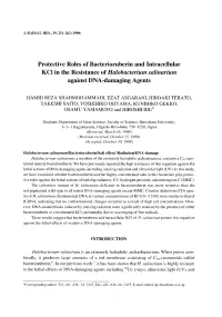 Protective Roles of Bacterioruberin and Intracellular Kcl in the Resistance of Halobacterium Salinarium Against DNA-Damaging Agents