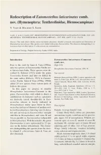 Hymenoptera: Tenthredinidae, Blennocampinae)
