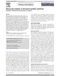 Nanoscale Analysis of Structural Synaptic Plasticity
