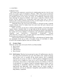 Research Report