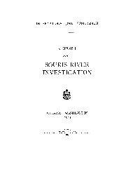 Souris R1ve.R Investigation