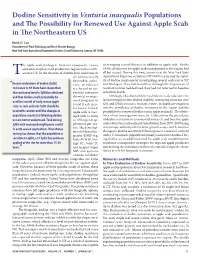 The Apple Scab Pathogen, Venturia Inaequalis, Causes